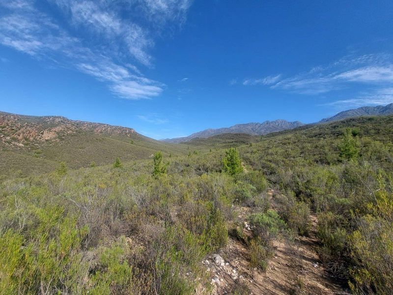 Farm For Sale in Ladismith Rural, Ladismith - Photo 8