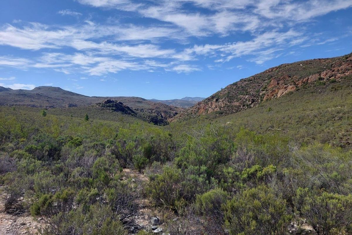 A scenic view of the expansive natural landscape, featuring rolling hills and native vegetation under a clear blue sky.