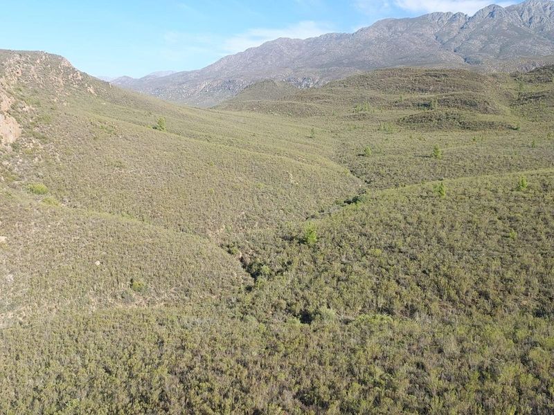 Farm For Sale in Ladismith Rural, Ladismith - Photo 3