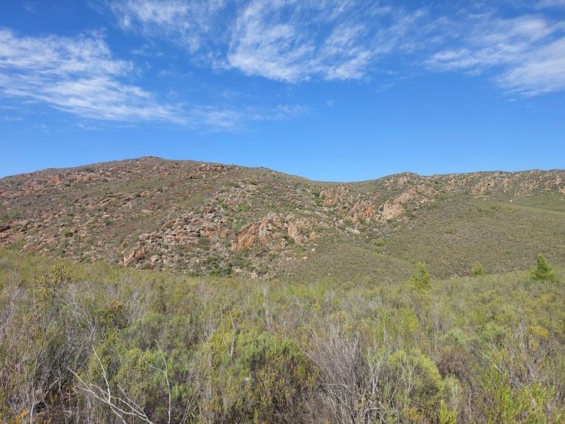 Farm For Sale in Ladismith Rural, Ladismith - Photo 7