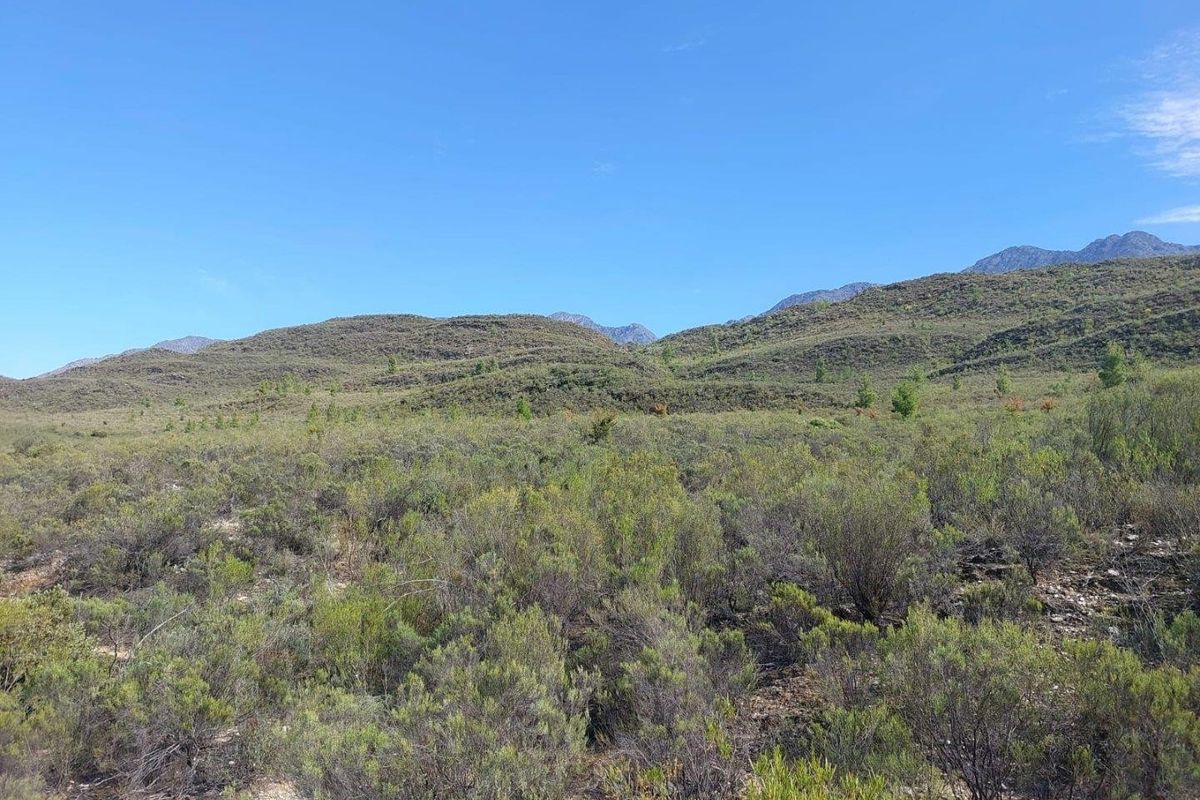 A scenic view of the natural landscape featuring rolling hills and native vegetation under a clear blue sky.