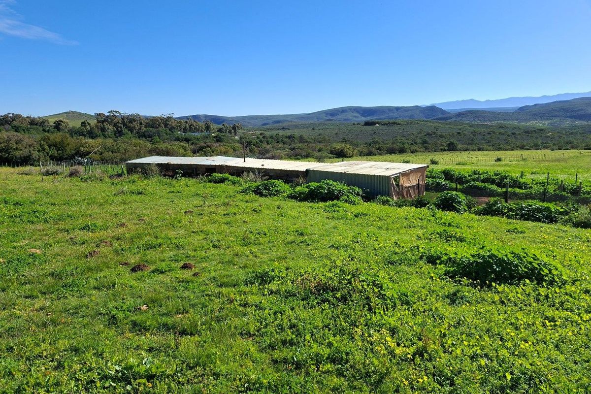 A view of a rural farm property featuring a corrugated metal shed structure set within a large open pasture with mountain views.