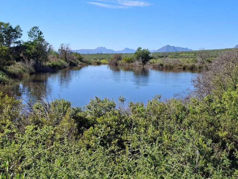 Farm For Sale in Riversdale Rural, Riversdale - Photo 3