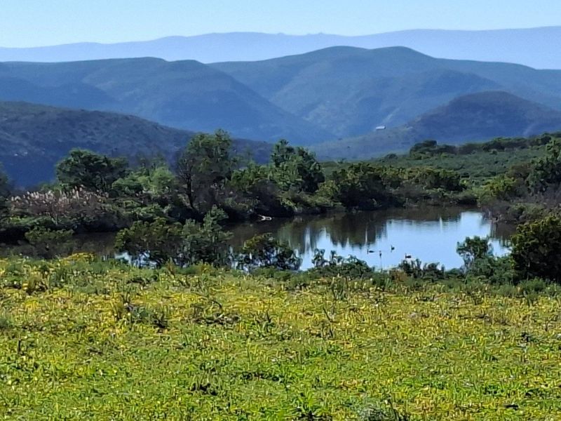 Farm For Sale in Riversdale Rural, Riversdale - Photo 10