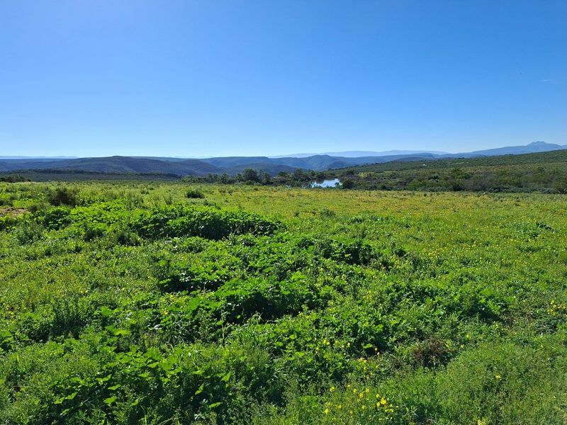 Farm For Sale in Riversdale Rural, Riversdale - Photo 9