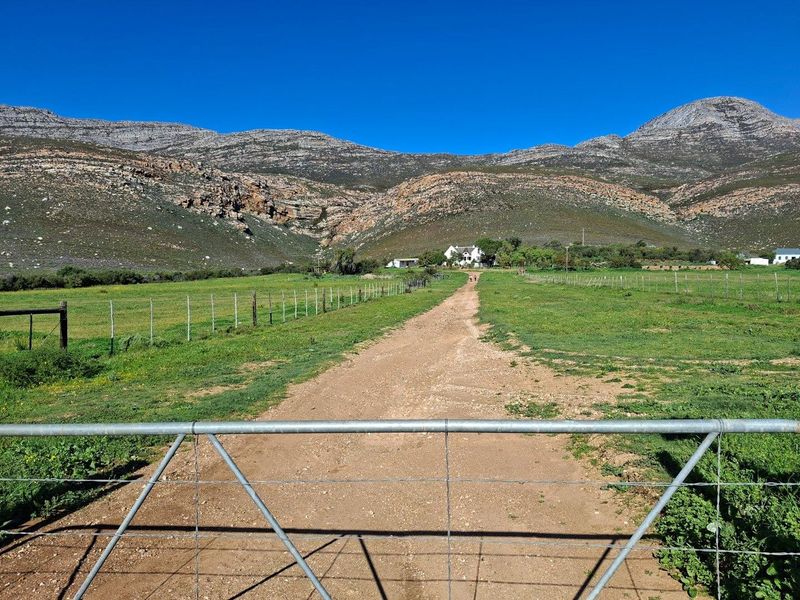 Farm For Sale in Riversdale Rural, Riversdale - Photo 8