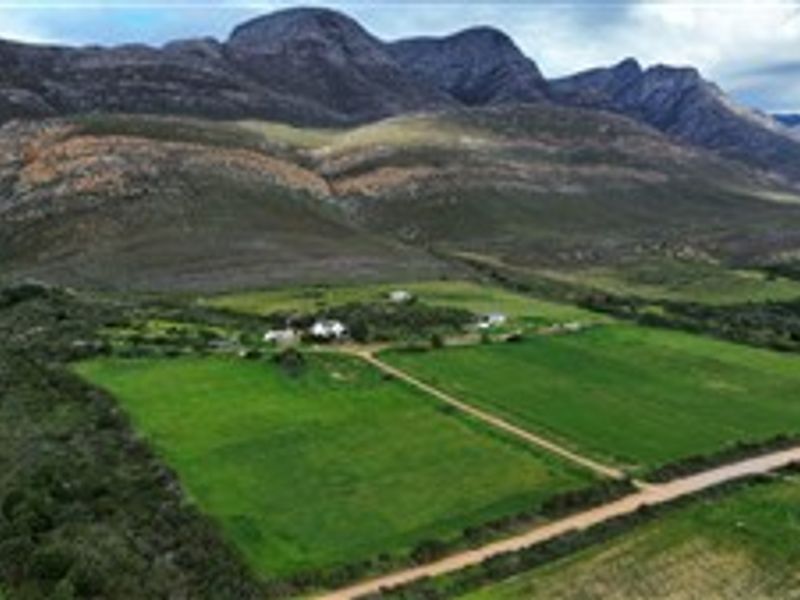 An aerial view of the expansive farm property featuring green paddocks, gravel access roads, and a scenic mountain backdrop.