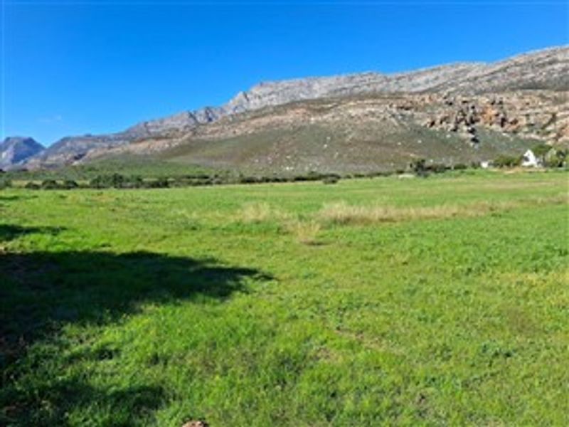A scenic view of open green pasture land with a prominent mountain range in the background.