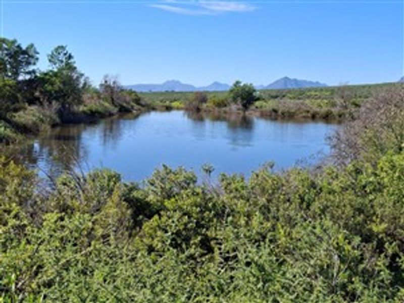 A scenic view of a natural farm pond surrounded by indigenous vegetation with distant mountain ranges in the background.