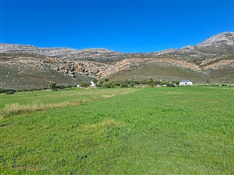 A scenic view of the expansive green farm pastures set against a dramatic mountain backdrop.
