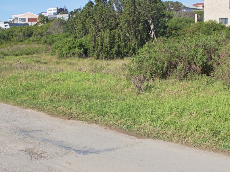 A view of an undeveloped residential plot of land from the adjacent street, featuring natural grass and shrubbery.