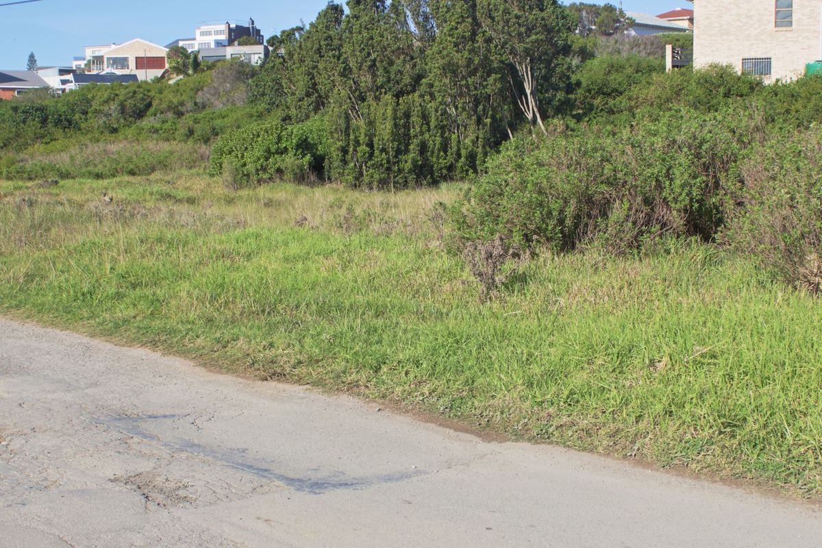A view of an undeveloped residential plot of land from the adjacent street, featuring natural grass and shrubbery.