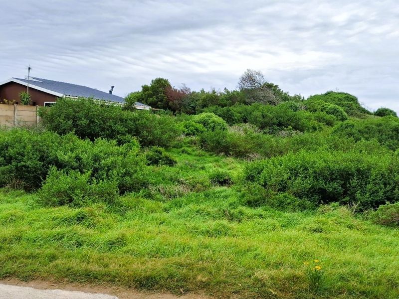 A vacant residential plot featuring established green vegetation and a boundary wall, offering a blank canvas for future development.