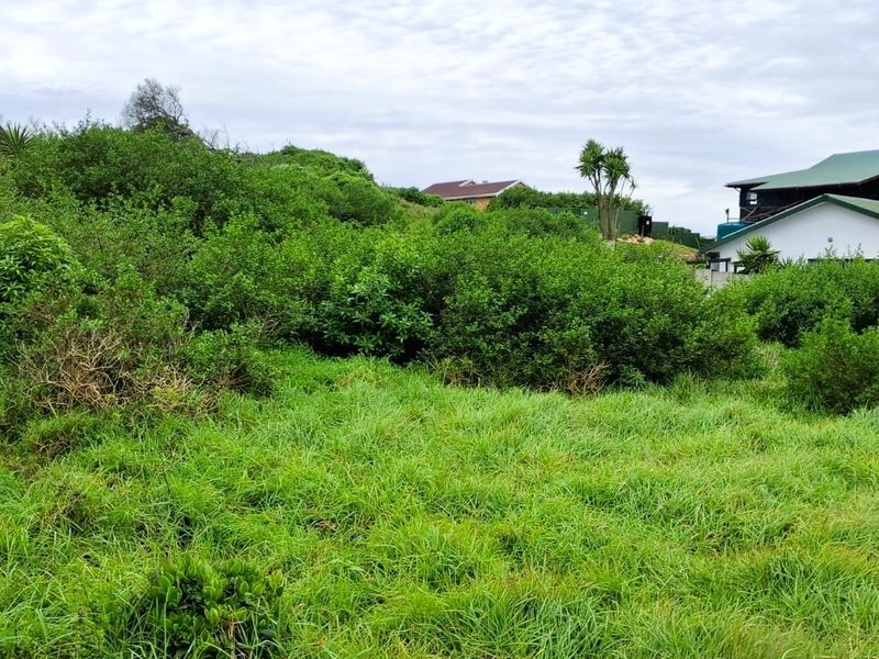 A view of a vacant residential plot featuring dense, overgrown vegetation and sloped terrain, situated in a residential neighborhood.