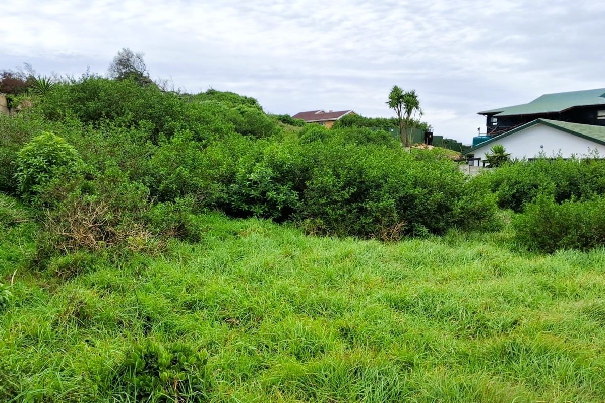 A view of a vacant residential plot featuring dense, overgrown vegetation and sloped terrain, situated in a residential neighborhood.