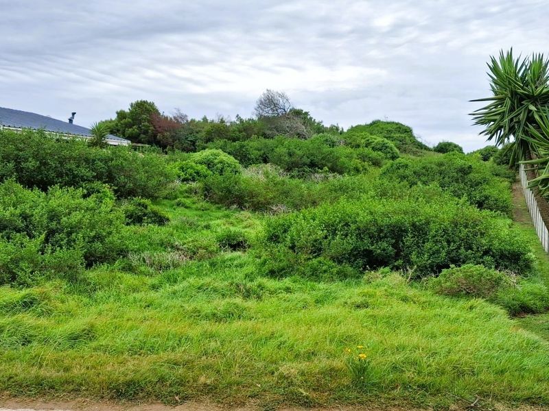 A view of a vacant residential plot featuring established green vegetation and boundary fencing, offering a natural setting for potential development.
