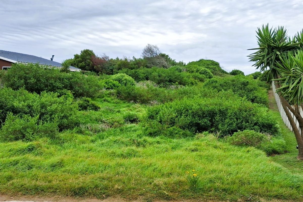 A view of a vacant residential plot featuring established green vegetation and boundary fencing, offering a natural setting for potential development.