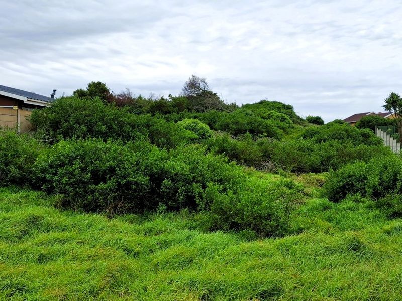 A vacant residential plot featuring dense natural vegetation, grass, and existing boundary walling, offering a blank canvas for future development.