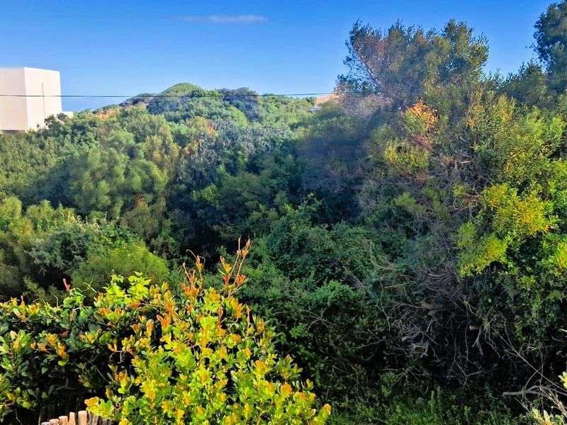A scenic view of the natural landscape and dense vegetation surrounding the residential property.
