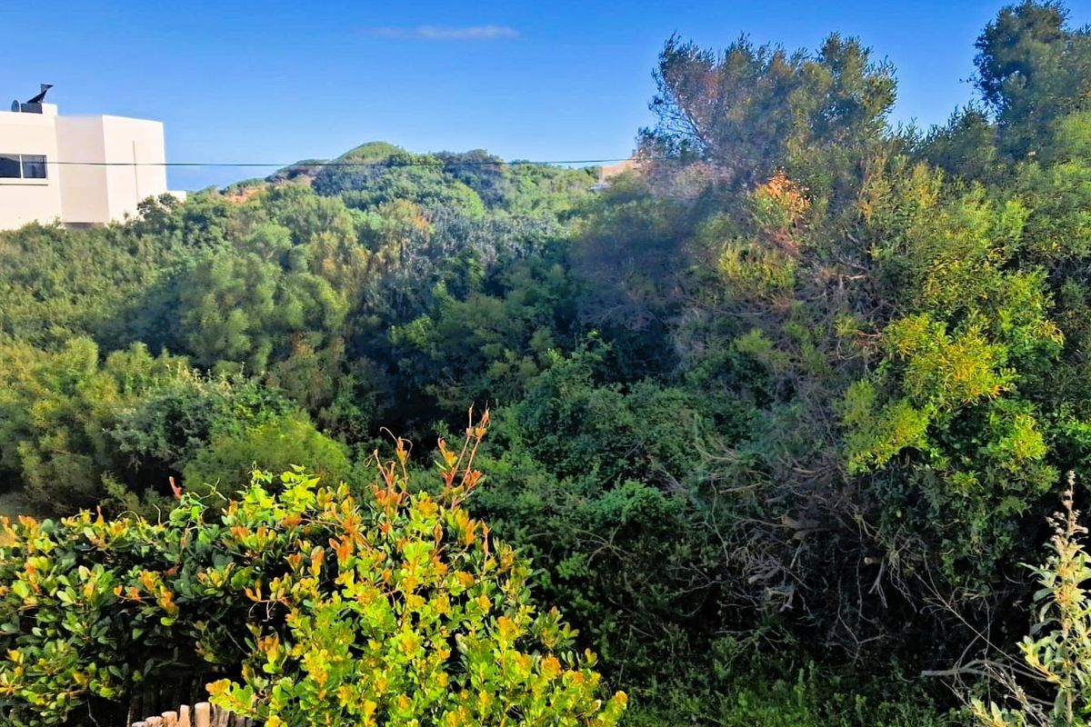 A scenic view of the natural landscape and dense vegetation surrounding the residential property.