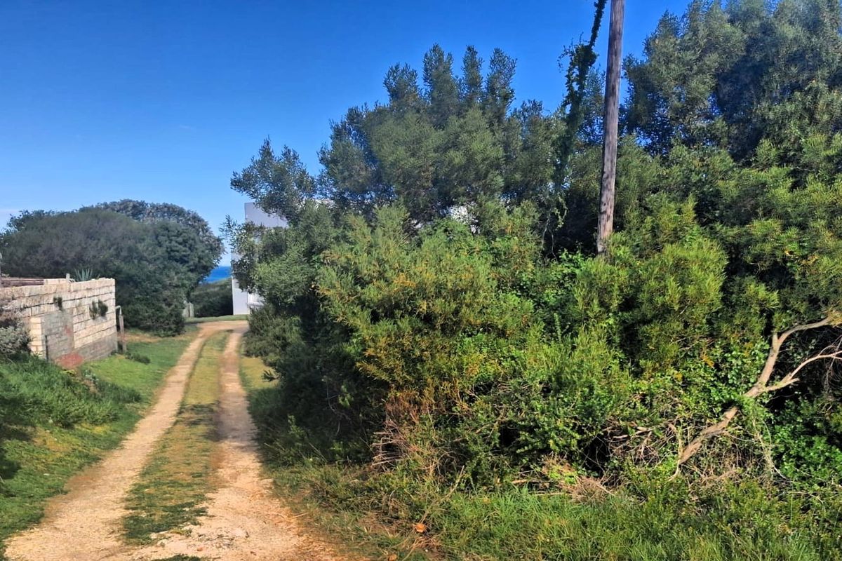 A view of a dirt driveway leading towards a residential property, bordered by dense vegetation and a stone retaining wall.