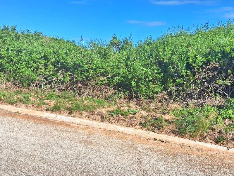 A view of the street frontage and concrete curb bordering the vacant residential land plot.