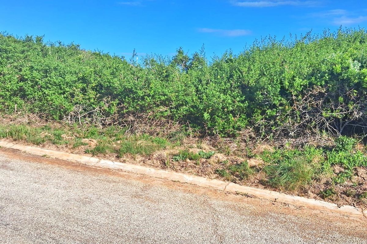 A view of the street frontage and concrete curb bordering the vacant residential land plot.