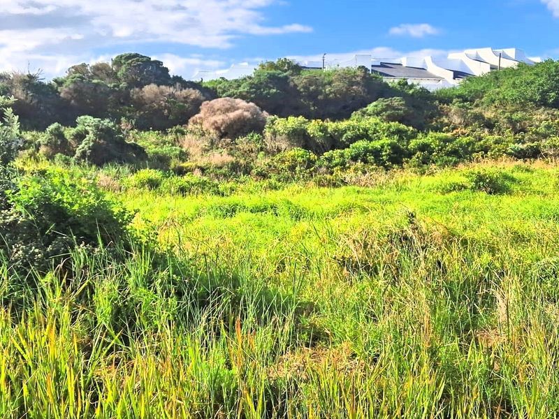 A view of the vacant residential land featuring natural vegetation and established grassland.
