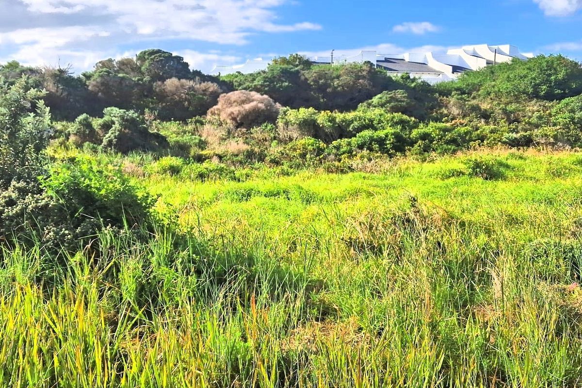 A view of the vacant residential land featuring natural vegetation and established grassland.