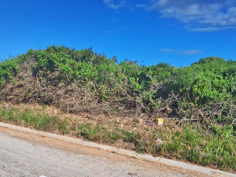 A view of the vacant residential land plot from the adjacent asphalt road, featuring natural vegetation and a kerb.