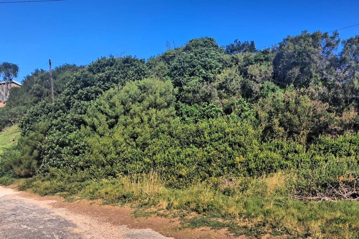 A view of a vacant residential plot featuring dense natural vegetation and shrubbery along the street frontage.