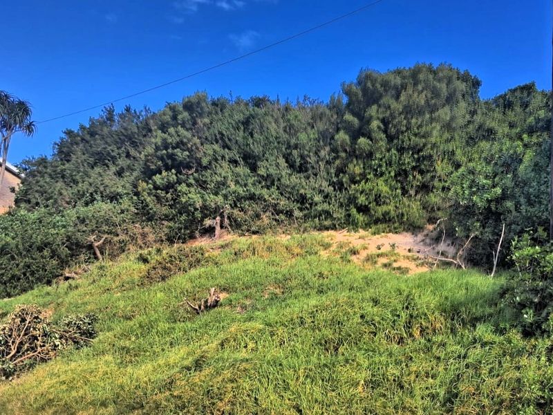 A view of a sloped, undeveloped residential plot featuring natural vegetation and a utility pole.