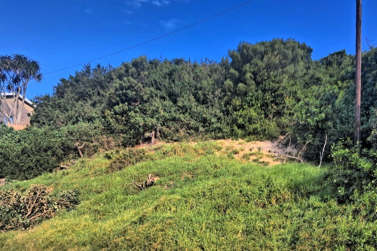 A view of a sloped, undeveloped residential plot featuring natural vegetation and a utility pole.