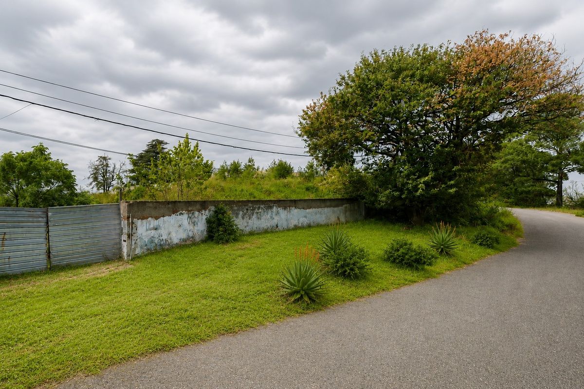 Street view of a vacant residential plot featuring a boundary wall, metal gate, and established vegetation along the asphalt road.