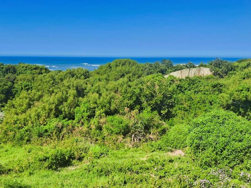 A scenic view of the ocean overlooking lush coastal vegetation and natural landscape.