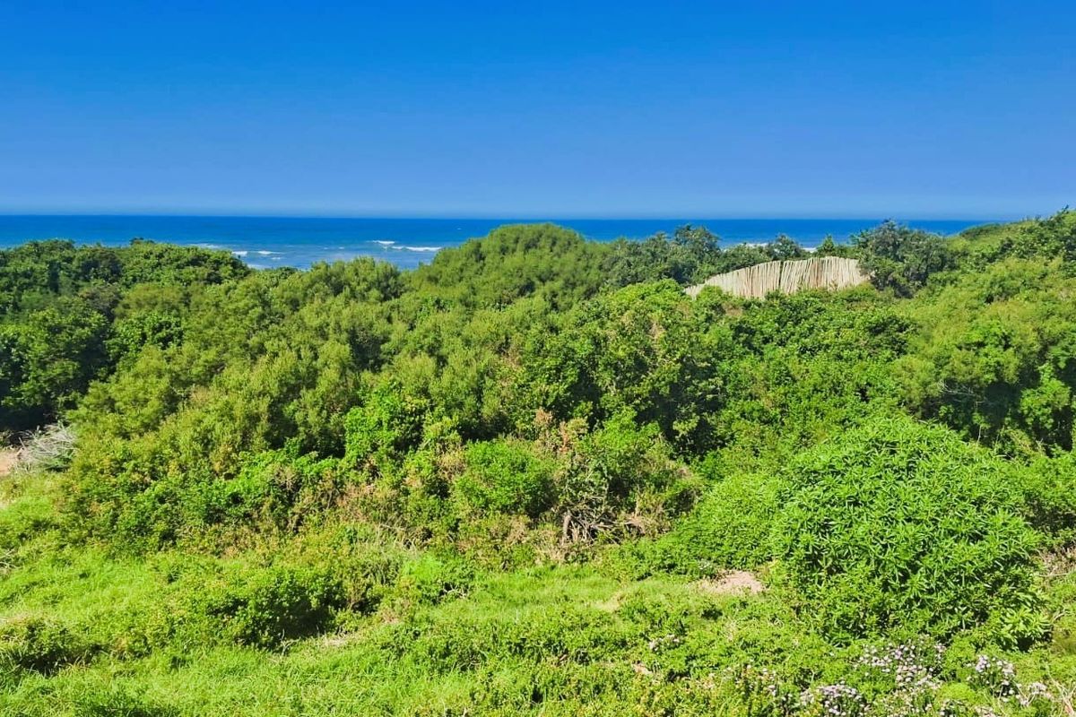 A scenic view of the ocean overlooking lush coastal vegetation and natural landscape.