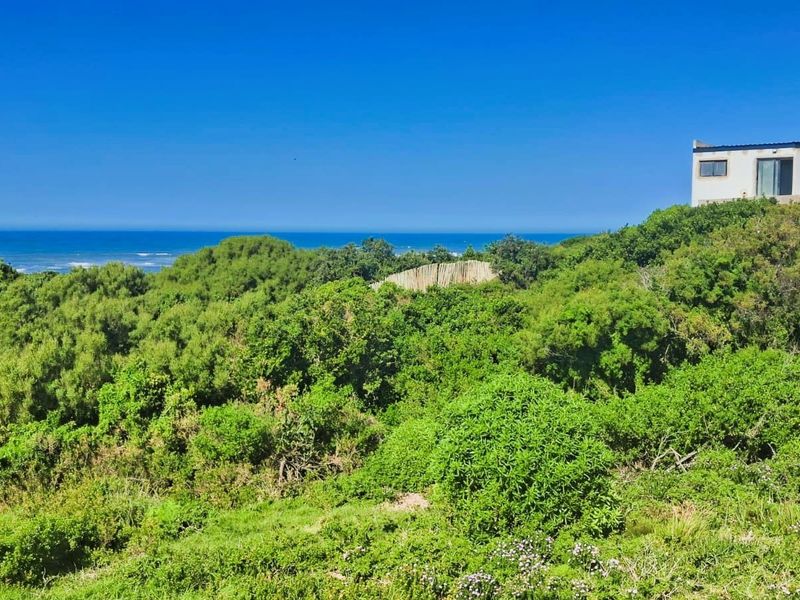 A scenic view of the coastal landscape featuring lush indigenous vegetation with the ocean in the background.