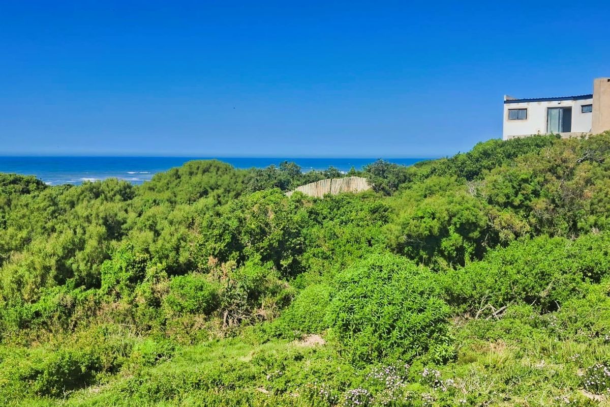 A scenic view of the coastal landscape featuring lush indigenous vegetation with the ocean in the background.