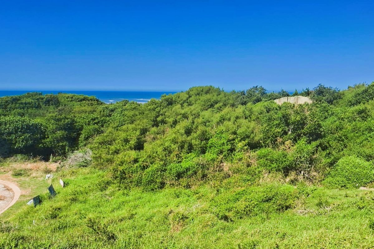 A scenic view of the coastal landscape featuring lush native vegetation and a clear horizon line over the ocean.