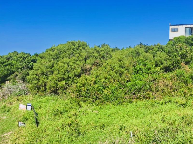 A view of a sloped residential plot covered in dense native vegetation and natural shrubbery.