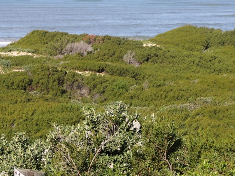 A scenic view overlooking natural coastal vegetation and sand dunes leading towards the ocean.