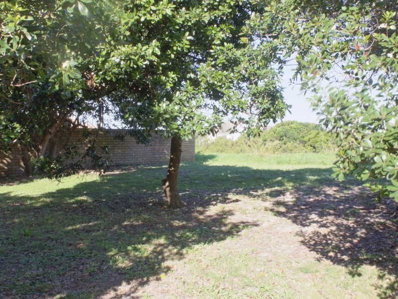 A view of a residential plot featuring established trees and a brick boundary wall, offering a private outdoor space.