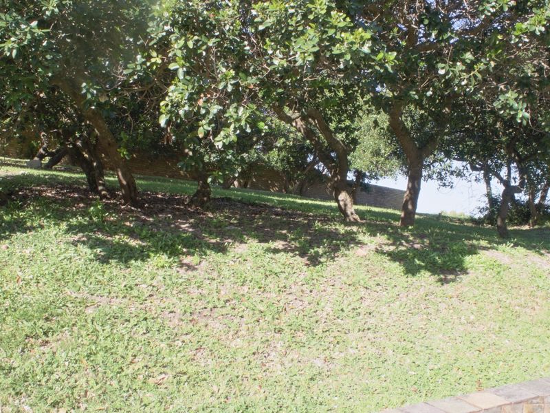 A sloped residential garden area featuring mature trees and a stone retaining wall, providing a natural and established outdoor space.
