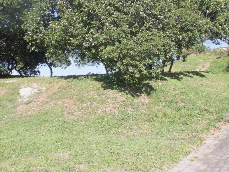 A view of a sloped residential plot featuring a paved driveway and established trees on a grassy landscape.