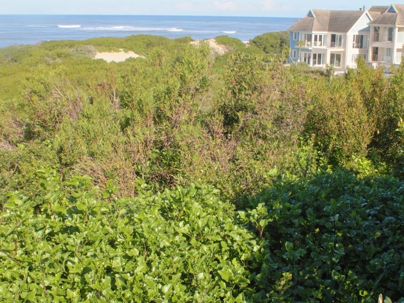 A scenic view overlooking dense coastal vegetation with the ocean and neighboring residential properties in the background.