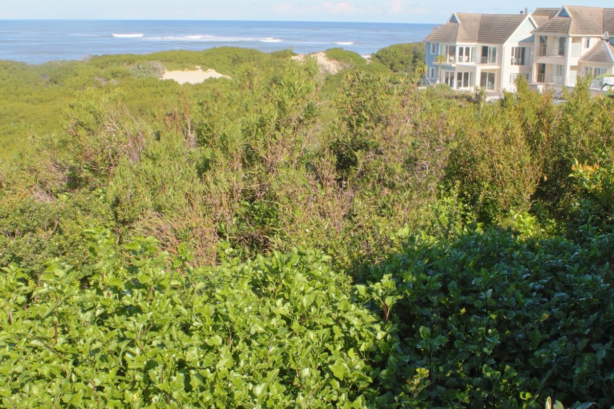 A scenic view overlooking dense coastal vegetation with the ocean and neighboring residential properties in the background.