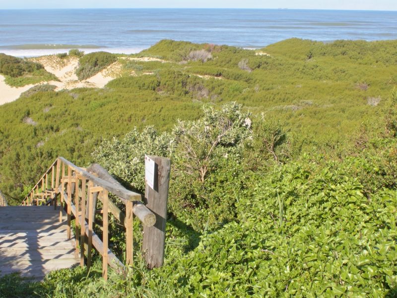 A scenic view of coastal dunes and ocean, featuring a wooden boardwalk path leading through the natural landscape.