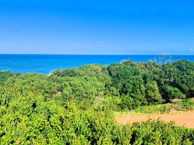 A scenic elevated view overlooking lush coastal vegetation and the ocean horizon.