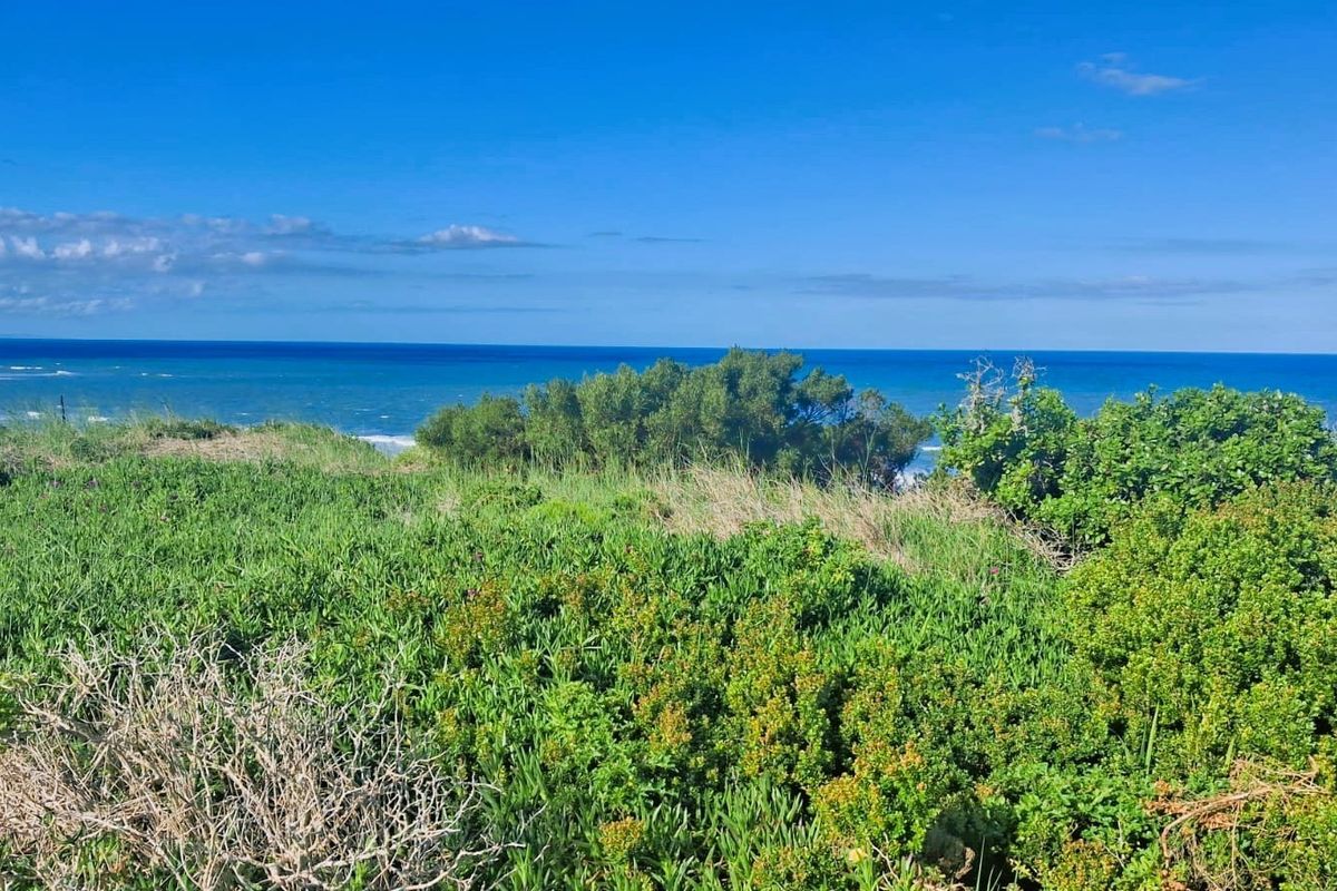 A scenic view of the coastline featuring lush native vegetation and an expansive ocean horizon.