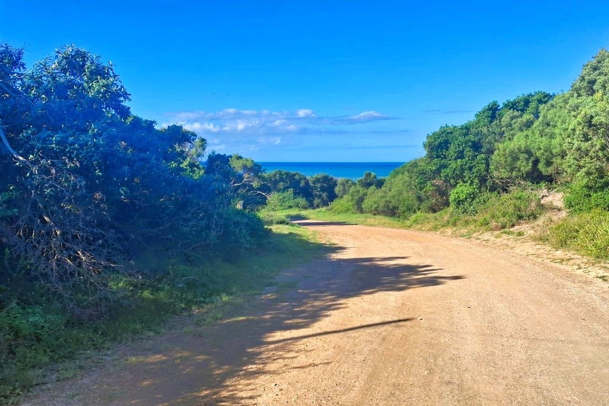 A scenic view of a coastal landscape featuring an unpaved access road surrounded by natural indigenous vegetation leading towards the ocean.